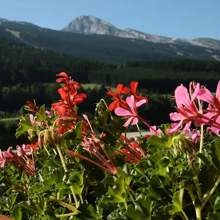 Logis Les Playes Villard-de-Lans