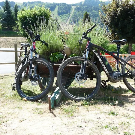 Logis Les Playes Hotel Villard-de-Lans