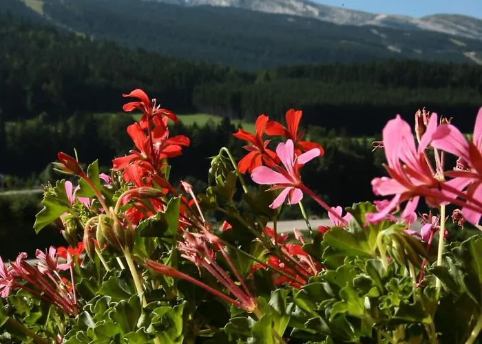 Logis Les Playes Villard-de-Lans